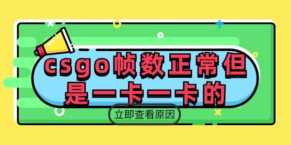 csgo幀數(shù)正常但是一卡一卡的