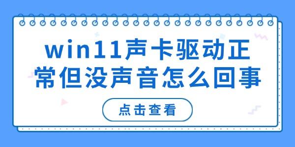 win11聲卡驅(qū)動(dòng)正常但沒(méi)聲音怎么回事