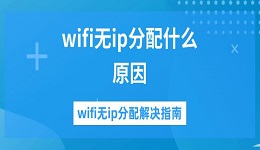 wifi無ip分配什么原因 wifi無ip分配解決指南